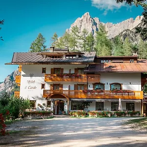 Il Cardo San Vito di Cadore